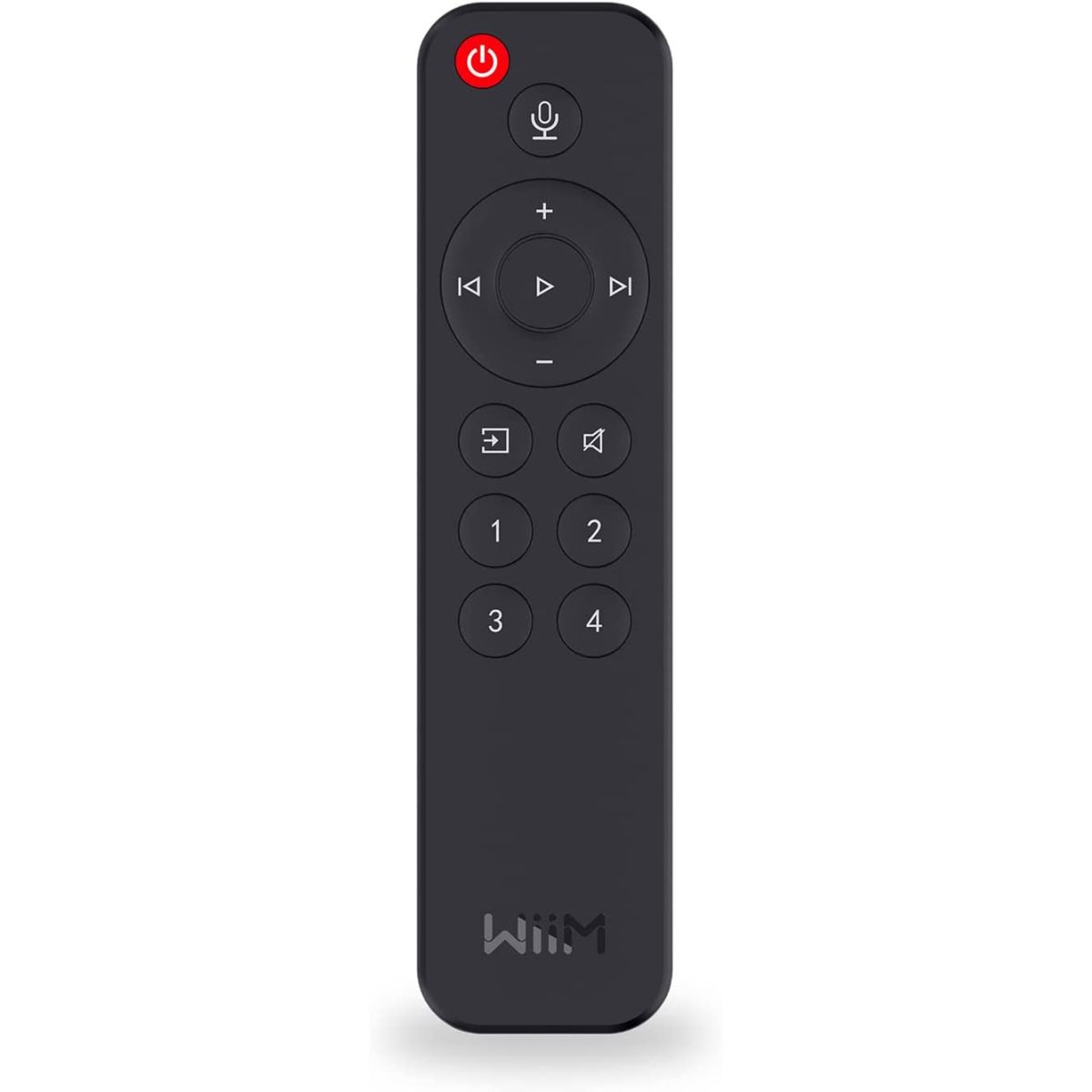 VOICE REMOTE